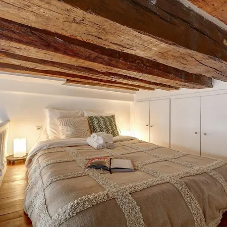 Appartement Apartment Near Place Des Vosges